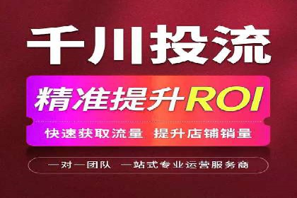 SEM运营公司案例解析：精准广告投放技巧